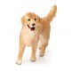 Schleich Farm World - Suczka rasy Golden Retriever, figurka dla dzieci 3+