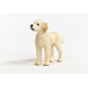 Schleich Farm World - Pies rasy goldendoodle, figurka dla dzieci 3+