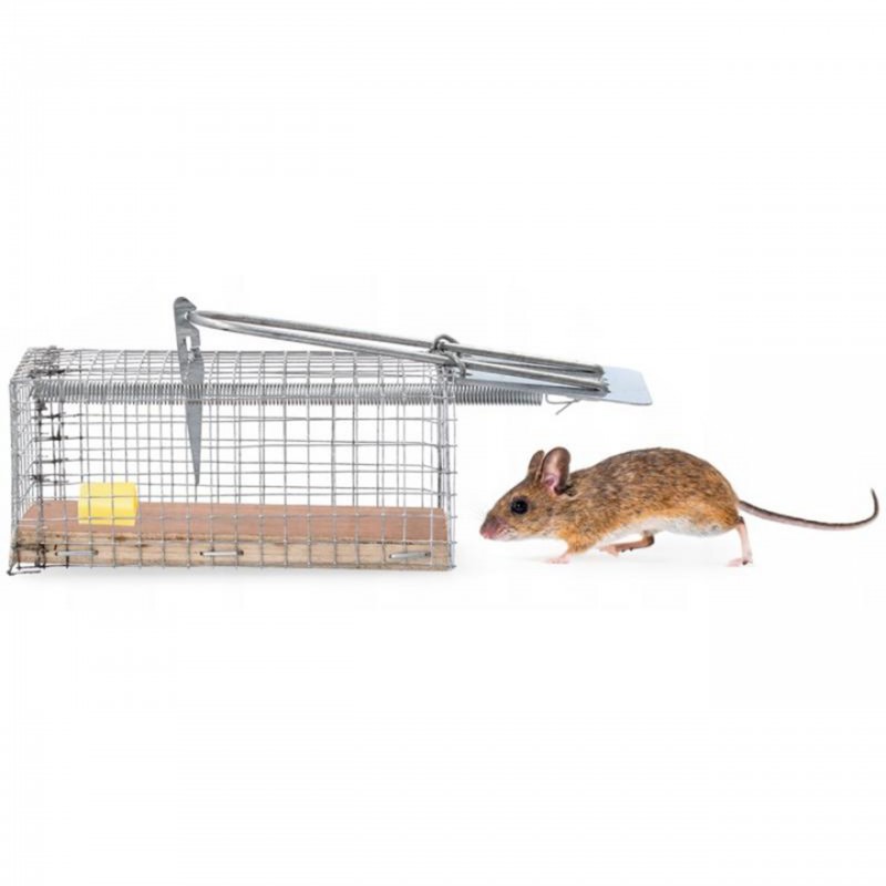 Lebendfalle Maus, einseitig 5 x 5 x 12 cm