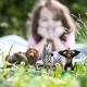 SLH42387 Schleich Wild Life - Zestaw startowy Dzikie zwierzęta, figurki dla dzieci 3+