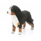 SLH16397 Schleich Farm World - Berneński pies pasterski, suka, figurka dla dzieci 3+