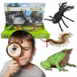 Collecta Zestaw figurek insektów, figurki zwierzęta 3+