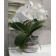 Strieborná ochranná nádoba na kvetináč, keramická ochranná nádoba 15x15x13 cm