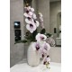 Keramická váza v béžovej farbe, vysoká váza na kvety 13x13x25,5 cm