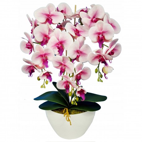 Orchidea artificiale in vaso, bianca - rosa, realistica, 3 germogli 53 cm