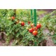 Powlekana tyczka do roślin, podpora do pomidorów 16mm/120 cm
