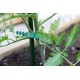 Powlekana tyczka do roślin, podpora do pomidorów 16mm/120 cm