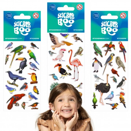 Zestaw kolorowych naklejek ptaki, naklejki dla dzieci