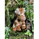 Charlie Bears Giraffe mascotte, uit de Cuddle Cubs serie, een kleine pluche ideaal voor baby&#039;s, 13 centimeter